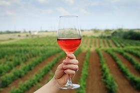 Частная 'Винодельня Гусевъ' в Волгоградской области