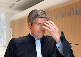 Защитник задержанного во Франции  Даниила Касаткина
член Парижской коллегии адвокатов Фредерик Бело