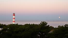 Жанры. Геленджик