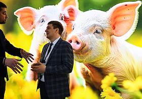 Международная специализированная выставка кормов, кормовых добавок, ветеринарии и оборудования 'КормВетГрэйн 2025' в МВЦ 'Крокус Экспо'