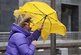 Жанровые фотографии. Сильный дождь и ветер в Москве