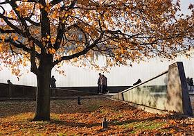 Жанровые фотографии