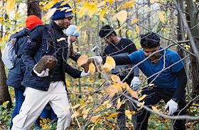 Уборка в одном из собачьих приютов Калининградской области иностранными студентами БФУ им. Канта