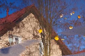 Жанровые фотографии