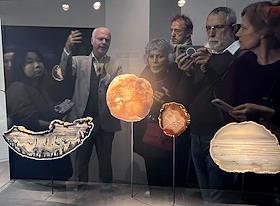 Выставка 'Мечты и камни: Роже Кайуа и его поэтическая минералогия', посвященная коллекции академика Роже Кайуа (1913-1978), в залах Школы ювелирных искусств Van Cleef & Arpels