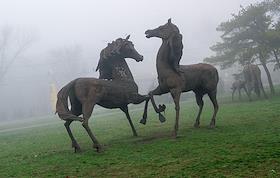 Жанровые фотографии. Территория бывшего аэропорта в Ростове-на-Дону