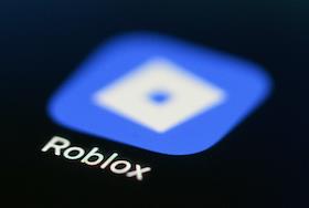 Жанровая фотография. Игровая онлайн-платформа Roblox