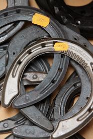 Магазин 'Скачки - спорт'.Конная упряж