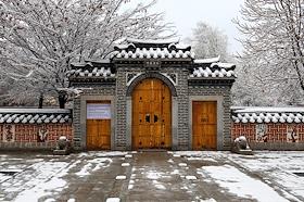 Жанровые фотографии. Первый снег в Ташкенте