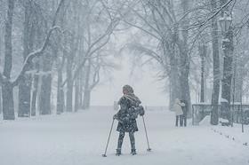 Жанровые фотографии
