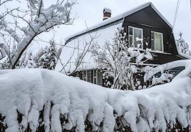 Жанровые фотографии. Дачные дома