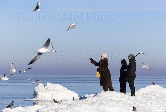 Жанровые фотографии. Замерзшее Балтийское море