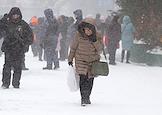 Жанровые фотографии. Метель в Москве