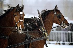 Празднование Масленицы на фестивале «Тройка фест»