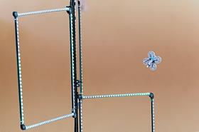 Первый Школьный Кубок Московского района по гонкам дронов в Физико-математическом лицее №366