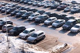 Жанровые фотографии