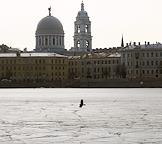 Жанровые фотографии