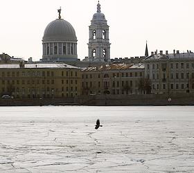 Жанровые фотографии