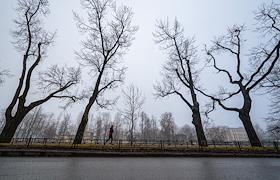 Жанровые фотографии. Утренний туман в Санкт-Петербурге