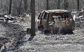 Жанровая фотография. Донецк