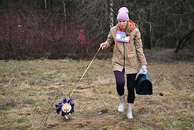 Забег с собаками – кросс 'Быстрый пес' в природно-историческом парке 'Битцевский лес'