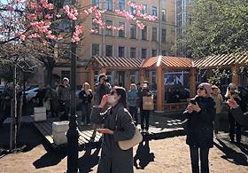 Жанровые фотографии