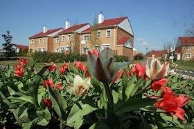 Арендный поселок 'Росинка' на Пятницком шоссе