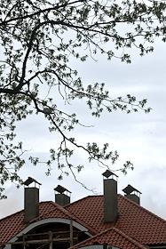 Поселок 'Антоновка' по Калужскому шоссе