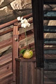 Интерьер ресторана 'Мисато'