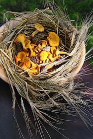 Интерьер ресторана Clumba Club