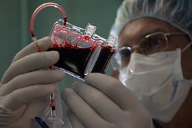 Директор по научным иследованиям Банка стволовых клеток 'КриоЦентр' Юрий Романов. Лаборатория, хранилище