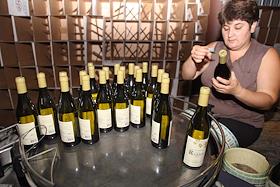 Производство вина Chateau le Grand Vostock. Виноградники. Франк Дюсенер, генеральный директор компании 'Chateau le Grand Vostock'