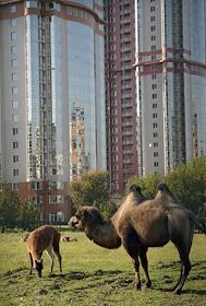 Школа в жилом комплексе Mirax Park.
Портрет руководителя проекта, Александра Возняковского
