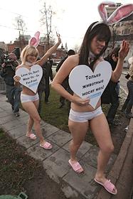 Акция организации защиты животных 'Пета' в поддержку этичного обращения с кроликами