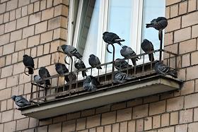 Эркеры, дом на Плющихе