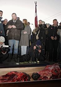 Пикет, с требованием увеличения поддержки крестьян у здания Кабинета министров Латвии. Протестующие принесли к зданию гроб, в котором лежат отрубленные коровьи головы.
