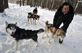 Руководитель проекта www.expetro.ru Николай Гольдберг