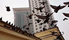 Дом в Сокольниках. Улица Русаковская