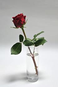 Блюдо в ресторане 'Манхэттен-гриль'