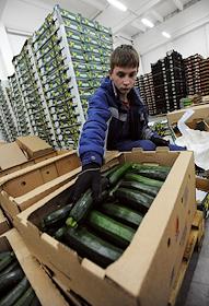 Корреспондент ИД 'Коммерсантъ' Иван Буранов во время тест-драйва автомобиля Peugeot Partner (Пежо Партнер) на складе компании 'Фруктовая почта'.

