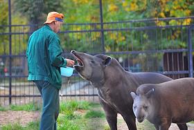 Московский зоопарк