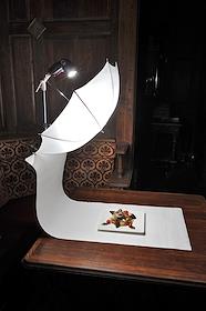 Блюдо в ресторане отеля 'Ritz Carlton'