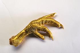 Обложка для журнала 'Деньги'. Куриная лапка