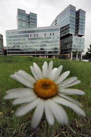 Жилой Комплекс 'Легенда Цветного'