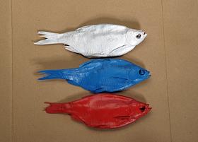 Обложка для журнала 'Деньги'. Рыба (вобла) окршенная в триколор