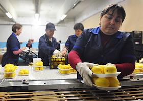 Совещание для обсуждения сложившейся обстановки в результате проверки надзорных органов Московской области на овощебазе в Долгопрудном, принадлежащей ЗАО 'Вегетта'