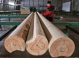 OOO 'Русский Лесной альянс'