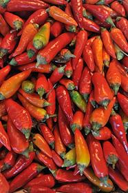 Интерьер ресторана 'Охота на лобстера'