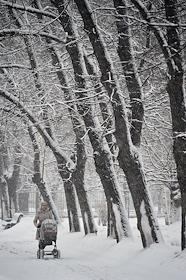 Круглый стол на тему «Дополнительные меры по обеспечению экологической безопасности промышленных производств города Москвы», в Общественной палате РФ