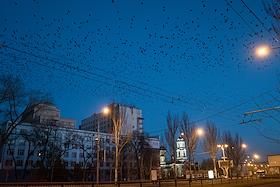 Жанровая съемка. Улица Артёма, г. Донецк